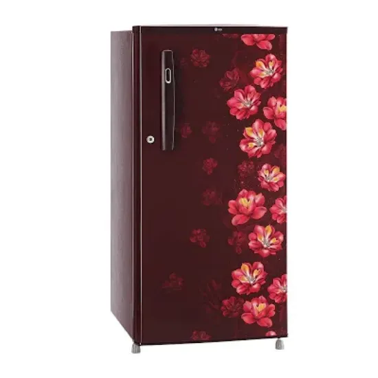 Picture of FRIDGE L.G B199 OSJB 1STAR